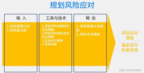 信息系統項目管理師視角下的項目風險管理——以機井管理信息系統為例